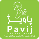 پاویژ