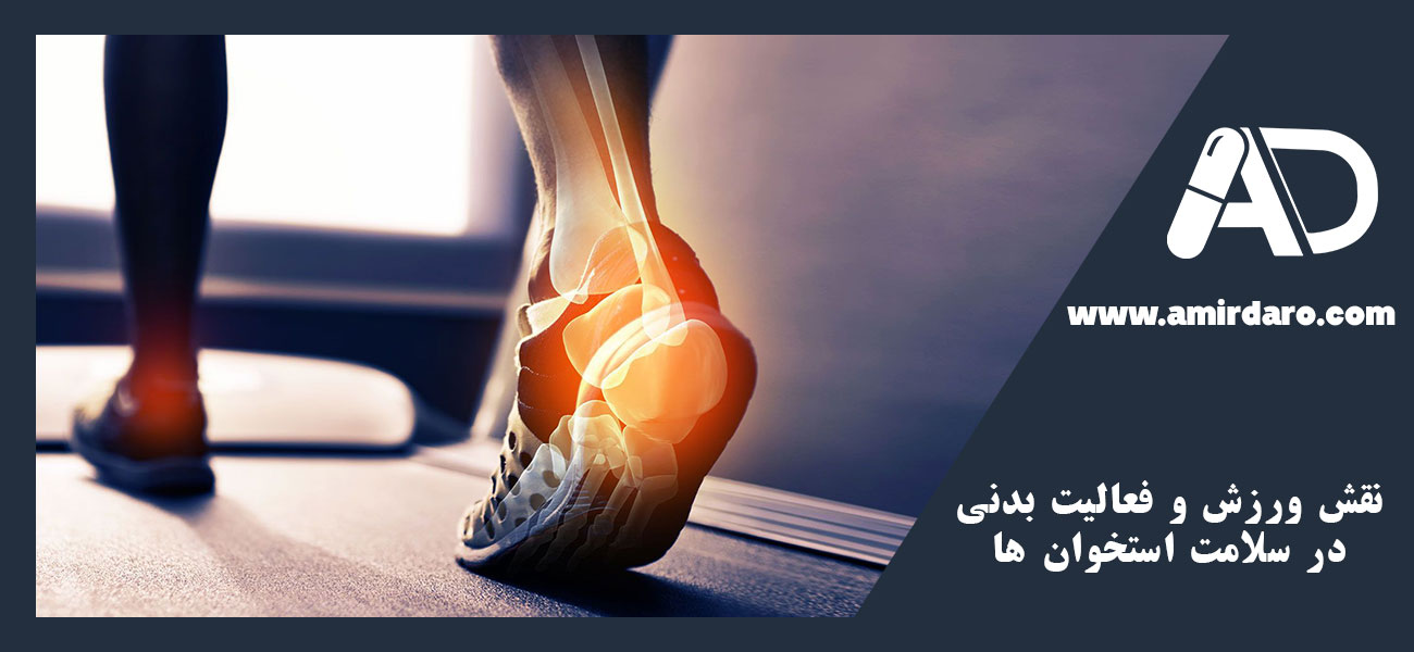 نقش ورزش و فعالیت بدنی در سلامت استخوان ها