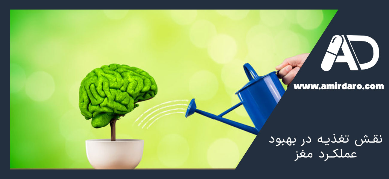 نقش تغذیه در بهبود عملکرد مغز