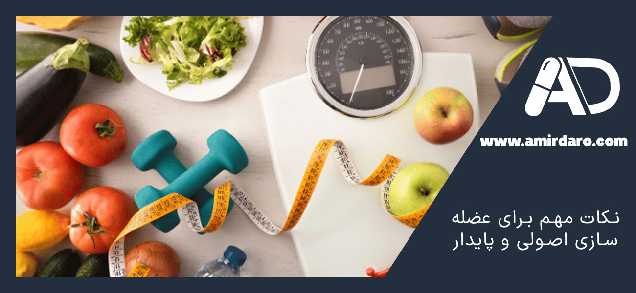 نکات مهم برای عضله سازی اصولی و پایدار