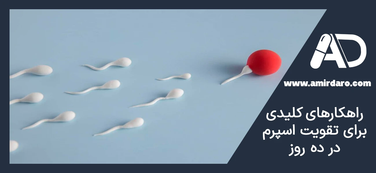 راهکارهای کلیدی برای تقویت اسپرم در ده روز
