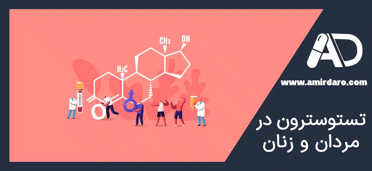 تستوسترون در مردان و زنان