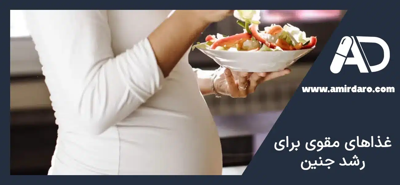 غذاهای مقوی برای رشد جنین