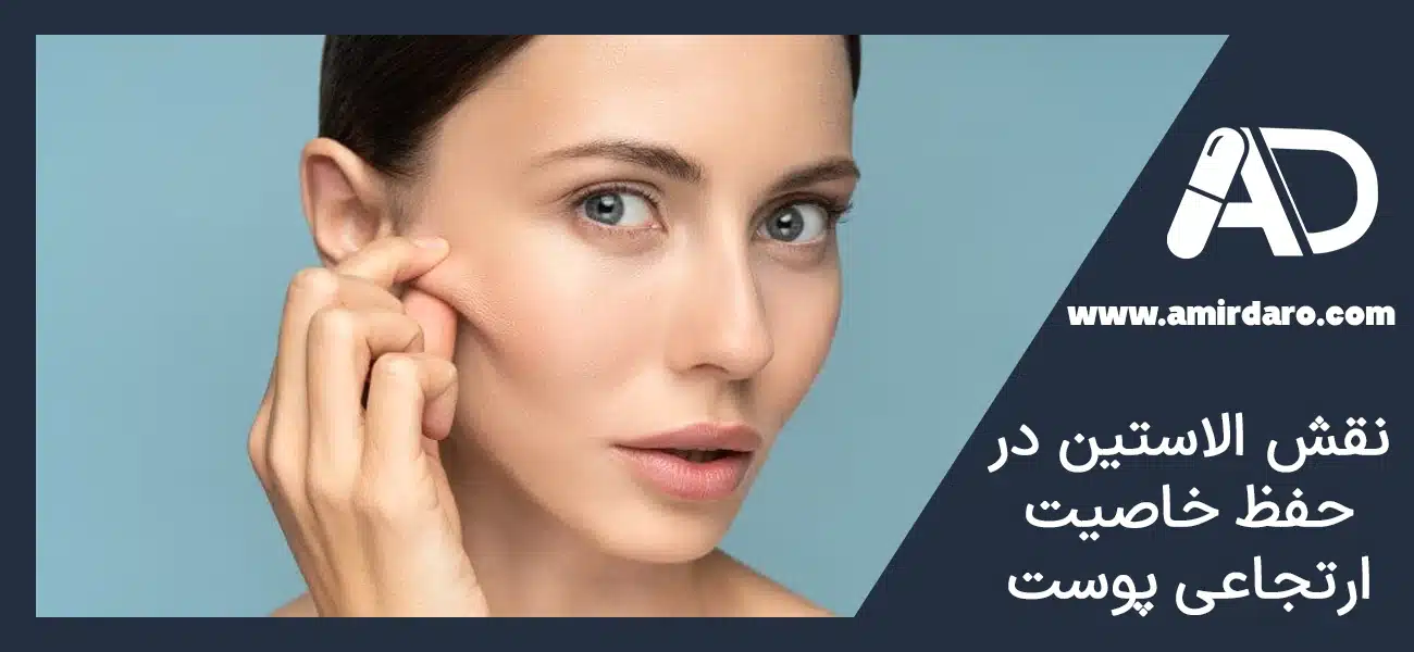 نقش الاستین در حفظ خاصیت ارتجاعی پوست