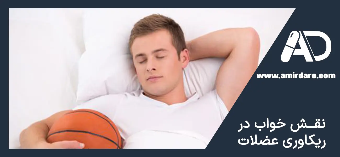 خواب برای ریکاوری عضلات